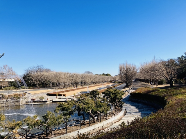 昭和記念公園の広大な広場（春のピクニックに最適な日帰りスポット）